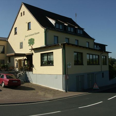 Hotel Restaurant Grüner Baum Leidersbach Exterior foto